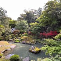 画像1500