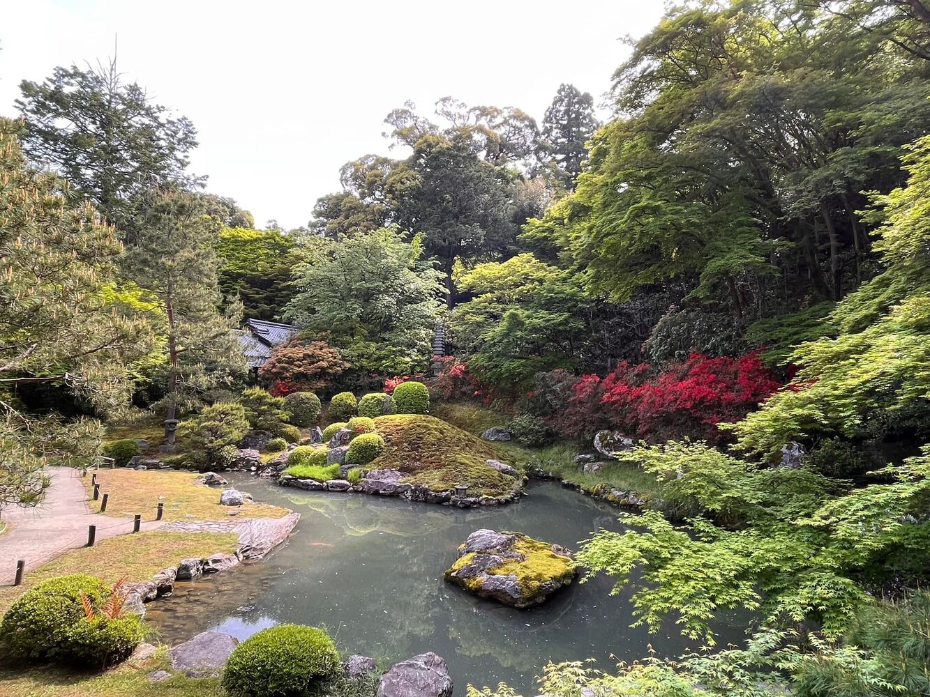 画像1500